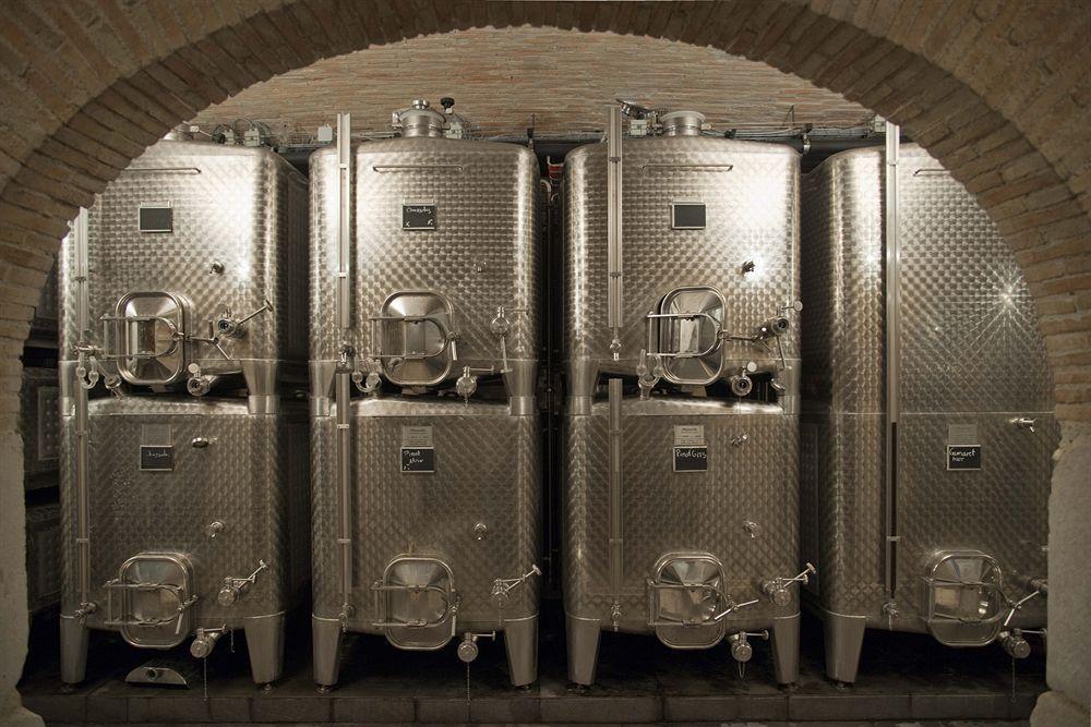 尼翁 Chateau Le Rosey酒店 外观 照片