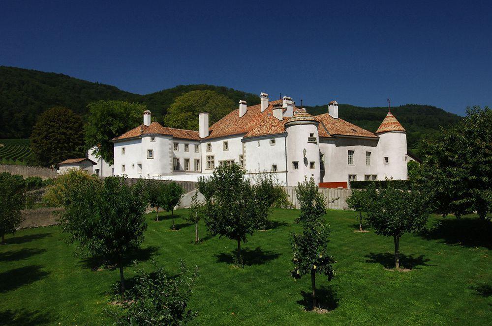 尼翁 Chateau Le Rosey酒店 外观 照片
